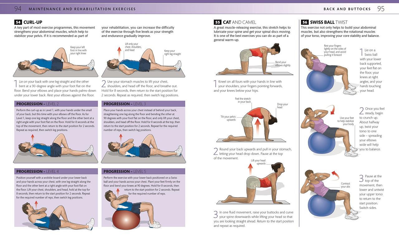 Lower back exercises strengthen low exercise yoga strengthening workout pain stretches workouts ejercicios weight easy fat improve stretching practice fitness